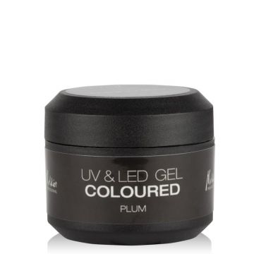 GEL UV & LED DE CULOARE PLUM 5GR