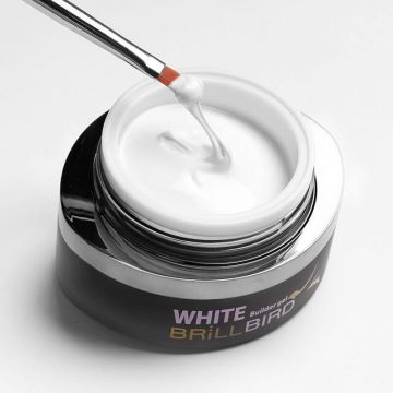 White Builder Gel Brillbird – Alb perfect 5g